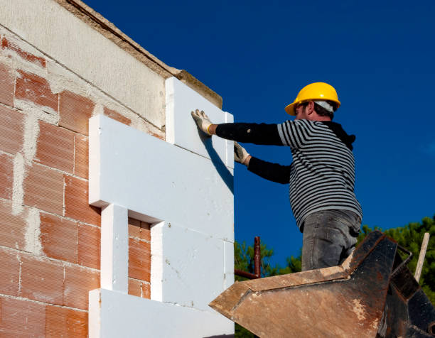 Best Insulation Materials and Products in Shadybrook, TX