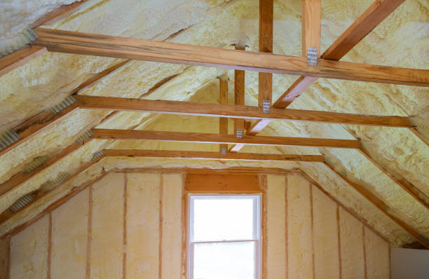 Best Commercial Insulation in Shadybrook, TX