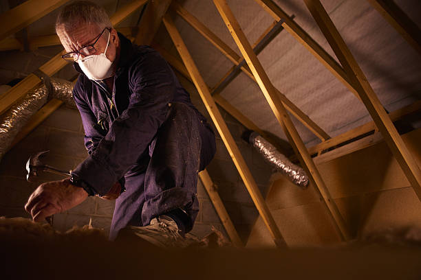 Best Insulation for Specific Applications in Shadybrook, TX